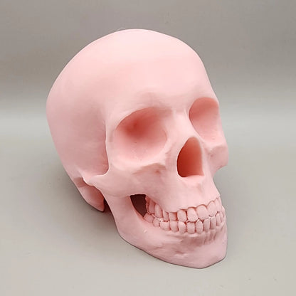 3D Skeleton Head, Halloween Skeleton, Halloween Display, Halloween Tiered Tray Decor, Pink Halloween Decor, Pastel Halloween