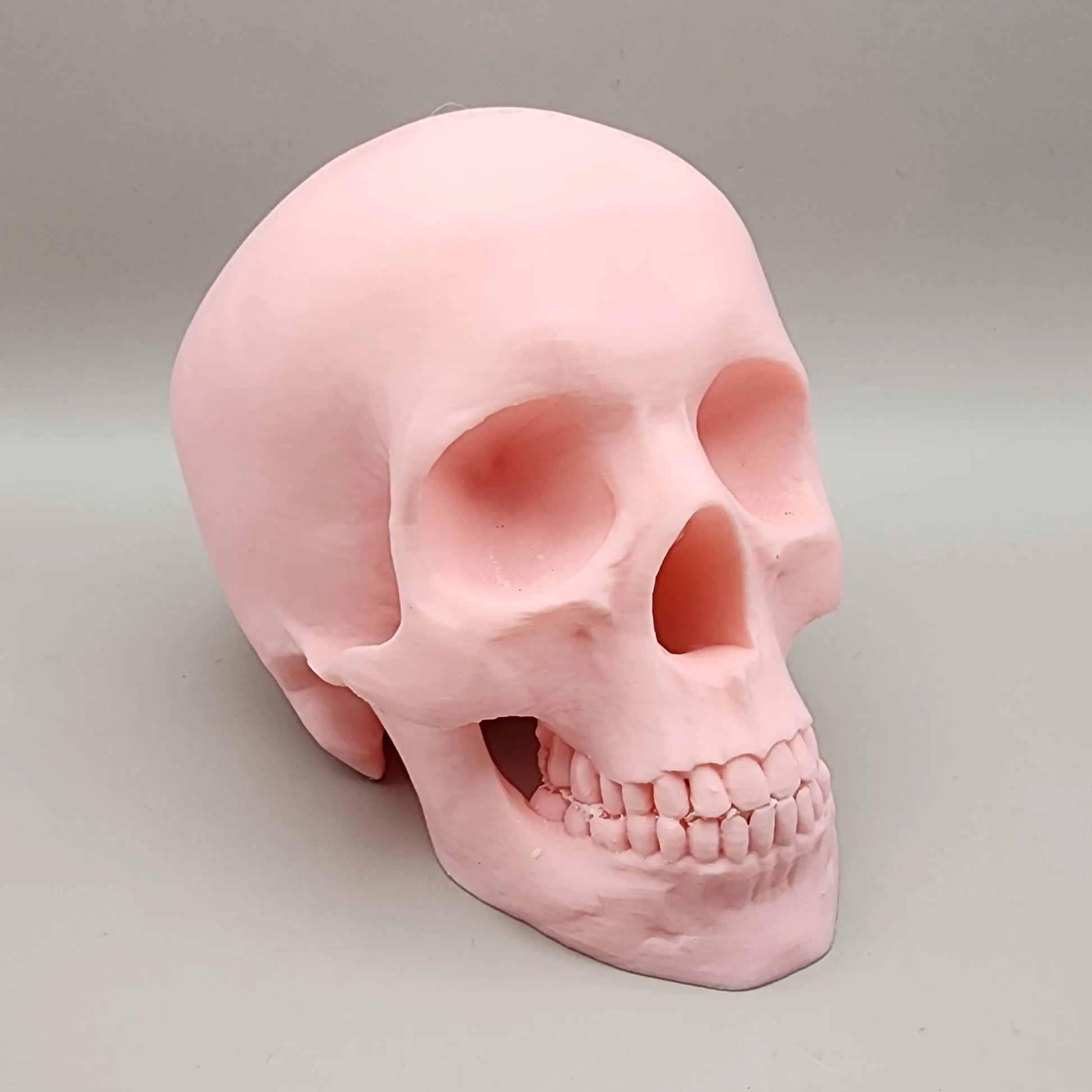 3D Skeleton Head, Halloween Skeleton, Halloween Display, Halloween Tiered Tray Decor, Pink Halloween Decor, Pastel Halloween