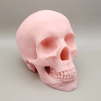 3D Skeleton Head, Halloween Skeleton, Halloween Display, Halloween Tiered Tray Decor, Pink Halloween Decor, Pastel Halloween