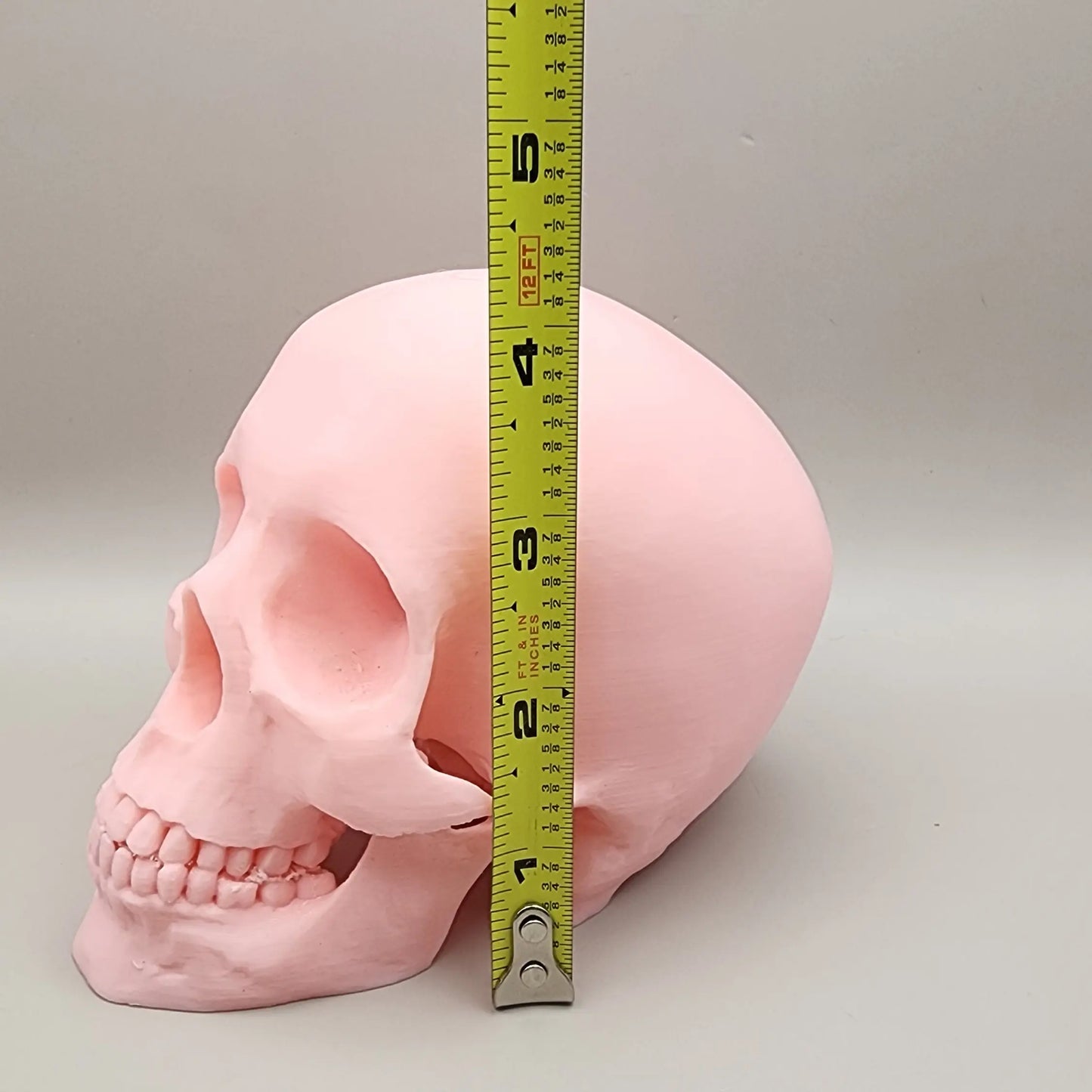 3D Skeleton Head, Halloween Skeleton, Halloween Display, Halloween Tiered Tray Decor, Pink Halloween Decor, Pastel Halloween